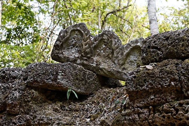 Ta Phrom et environs-003